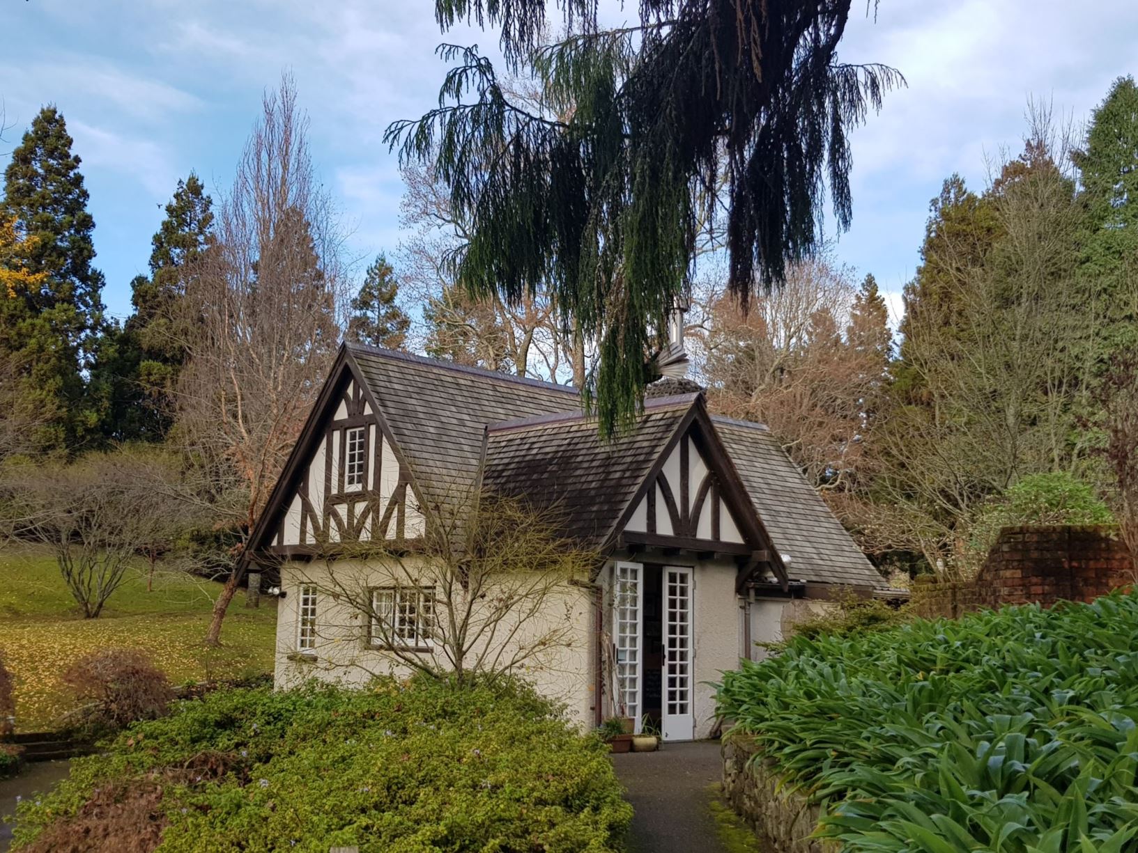 Picture from the garden