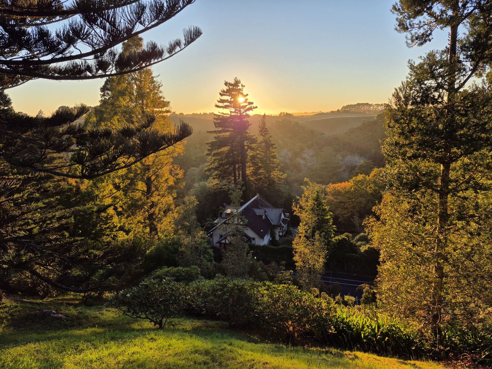 Picture from the garden