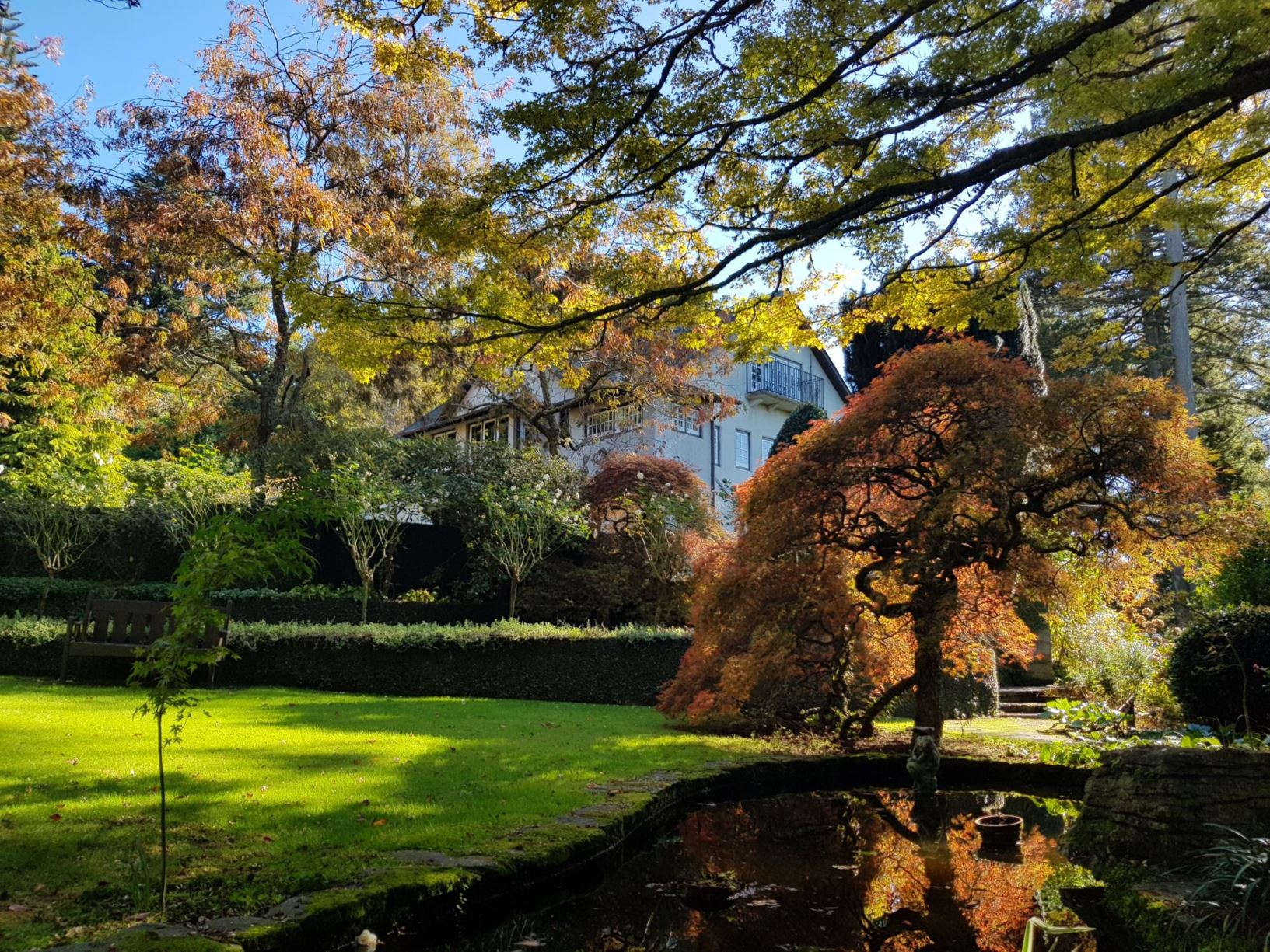 Picture from the garden