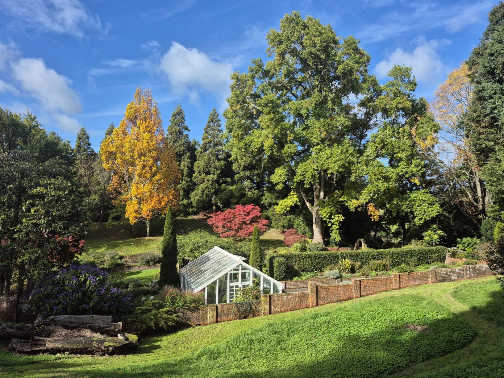 Picture from the garden